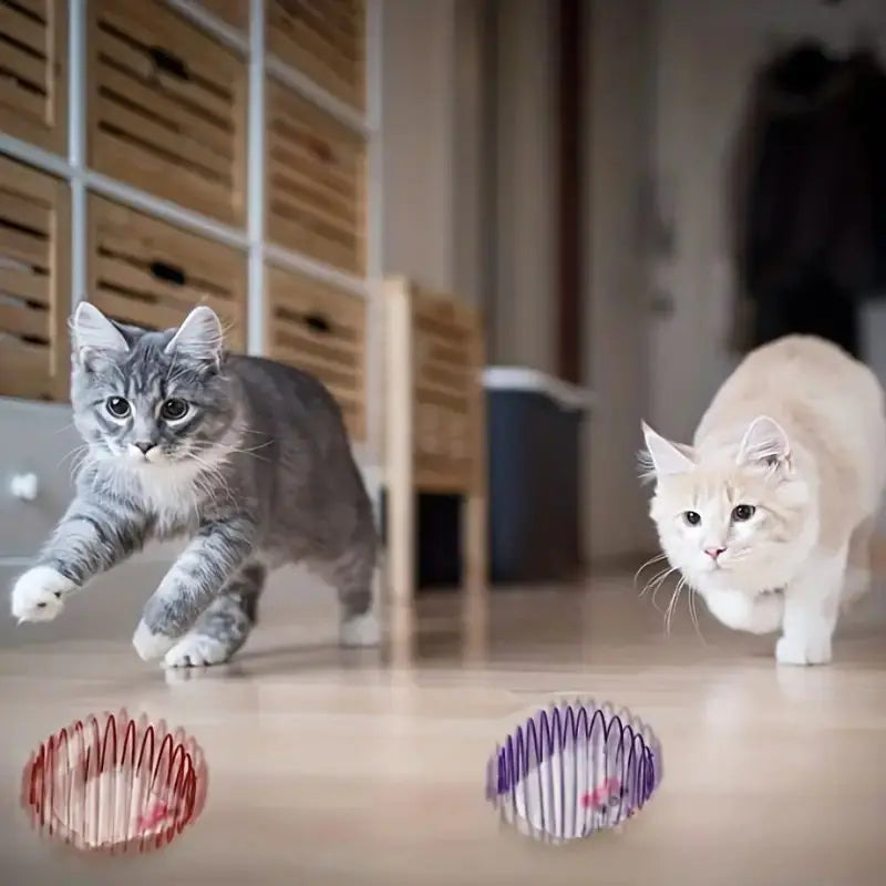 Cat Toy