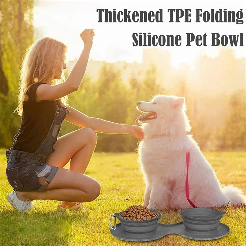 Rubber Foldable Double Pet Food and  Bowl